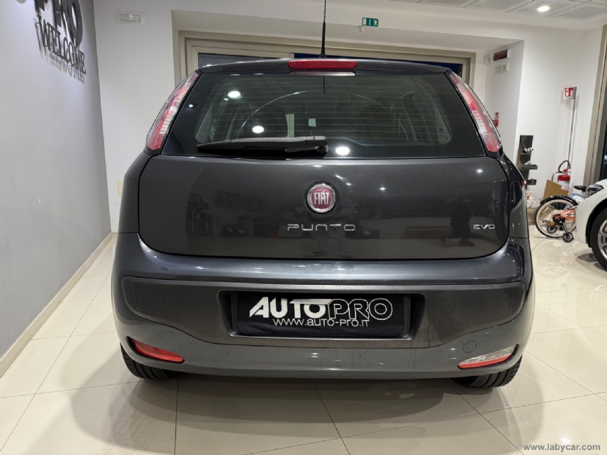 FIAT Punto Evo