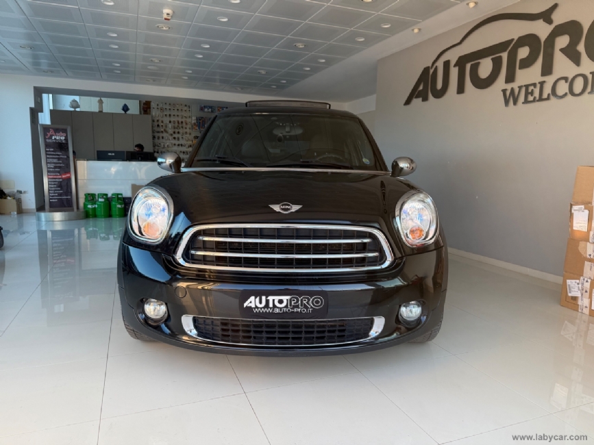 MINI Mini Paceman